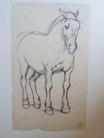 WOW!! LOVELY!! RAPHAEL GHISLAIN HORSE SKETCH DATED '50  290 X 170mm WOW!!