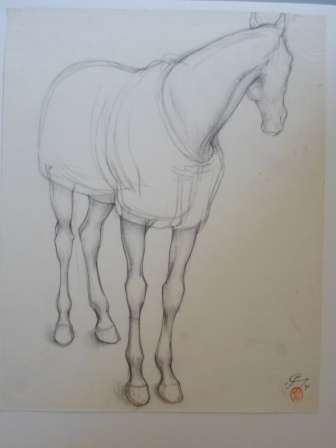 WOW!! LOVELY!! RAPHAEL GHISLAIN HORSE SKETCH DATED '54  260 X 210mm WOW!!