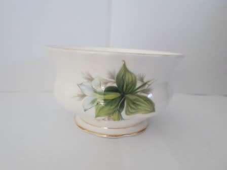WOW!! ROYAL ALBERT TRILLIUM SUGAR BOWL VALUE R395  95 X 50mm MINT!! WOW!!