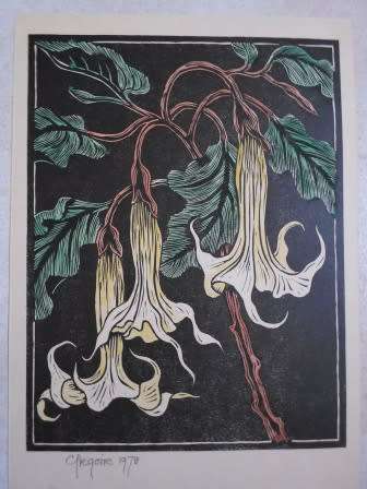 WOW!! GREGOIRE BOONZAIER 1978 "MAANBLOMME" WATERCOLOUR LINOCUT 305 X 230mm VALUE R7300 WOW!!