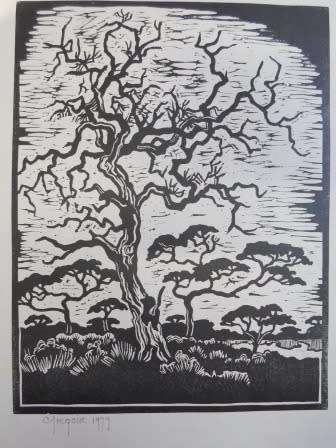 WOW!! GREGOIRE BOONZAIER 1979 "TREES"  LINOCUT 305 X 230mm VALUE R5500 WOW!!