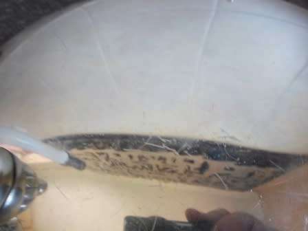 WOW!! LARGE VINTAGE CARROL BOYES  BOWL UNMARKED!! WOW!!