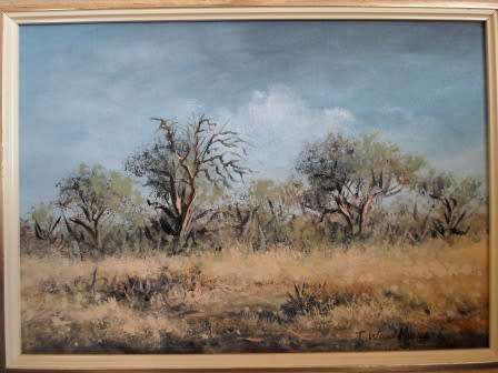 STUNNING!! T, WOOD MUNDELL BUSHVELD SCENE OIL ON BOARD 350 X 250mm WOW!!