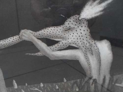 WOW!! ALMA IDA VORSTER ARTISTS PROOF ETCHING  390 X 290mm  VALUE R1500  WOW!!