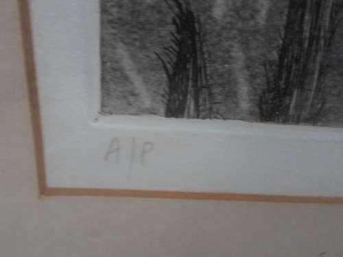 WOW!! ALMA IDA VORSTER ARTISTS PROOF ETCHING  390 X 290mm  VALUE R1500  WOW!!