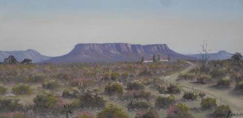 STUNNING!! DON BENZIEN TABLE MOUNTAIN OIL ON CANVAS 600 X 300mm VALUE R2500 WOW!!