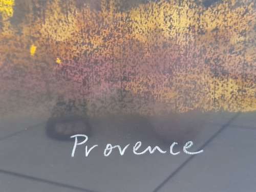 Stunning Sandi Beukes `Provence` pastel 490 x 290mm Value R3500