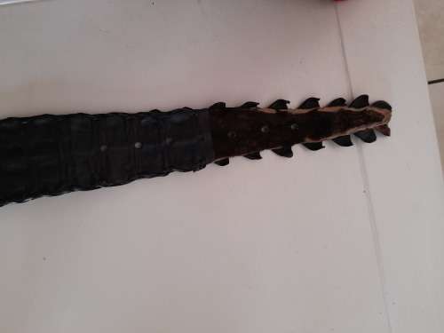 Amazing!! Large Leather Rose Crocodile skin belt value R2500