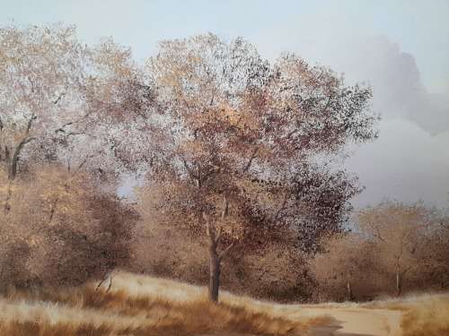 Amazing Large Thomas Hacking oil on board landscape 760 x 510mm Value R3500