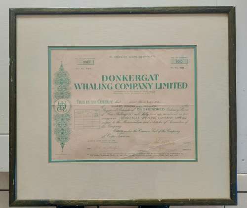 Rare!! Antique Donkergat whaling co. shares certificate circa 1910