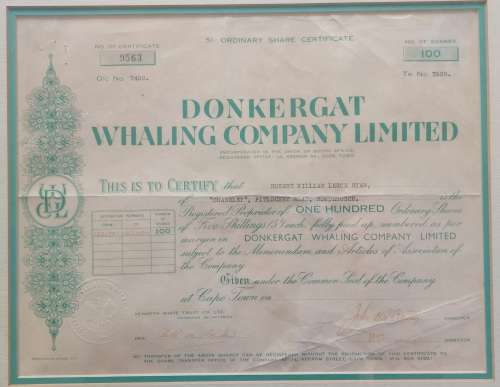 Rare!! Antique Donkergat whaling co. shares certificate circa 1910