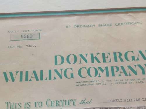 Rare!! Antique Donkergat whaling co. shares certificate circa 1910