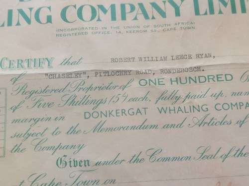 Rare!! Antique Donkergat whaling co. shares certificate circa 1910