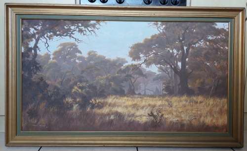 Amazing Large Charl Möller veld scene oil on board 1110 x 600mm Value R7500 Wow!!