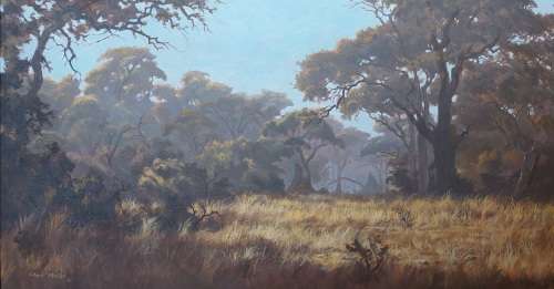 Amazing Large Charl Möller veld scene oil on board 1110 x 600mm Value R7500 Wow!!