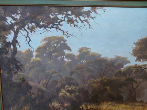 Amazing Large Charl Möller veld scene oil on board 1110 x 600mm Value R7500 Wow!!