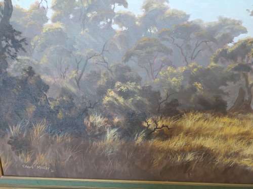 Amazing Large Charl Möller veld scene oil on board 1110 x 600mm Value R7500 Wow!!