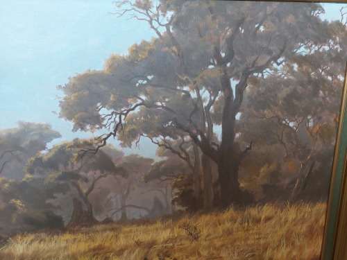 Amazing Large Charl Möller veld scene oil on board 1110 x 600mm Value R7500 Wow!!