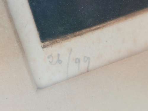 Wow!! Roger Bertemes colour etching 26/99 with cert Value R6500