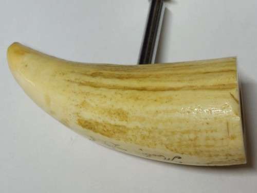 Wow!! Antique whale tooth corkscrew circa 1900