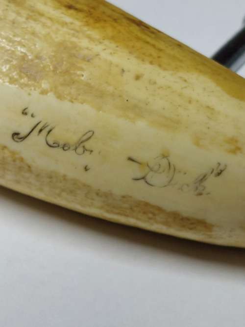 Wow!! Antique whale tooth corkscrew circa 1900
