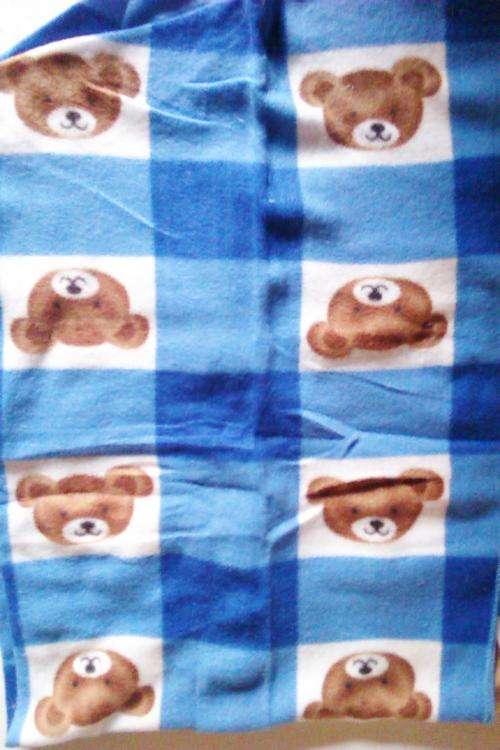 Stunning Baby Teddy Bear Fleese blanket.
