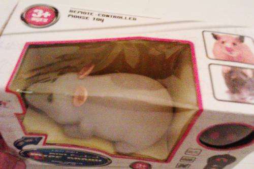 Remote controlled mouse.  Hours of entertainment.  Limited stock do not miss out!!!!