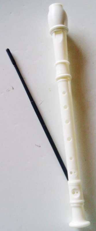 FLUTE