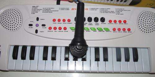 Electronic Piono.32 key,22 Demo songs,8 Rhythms,8 Tones,Record and playback function, learn fuction,
