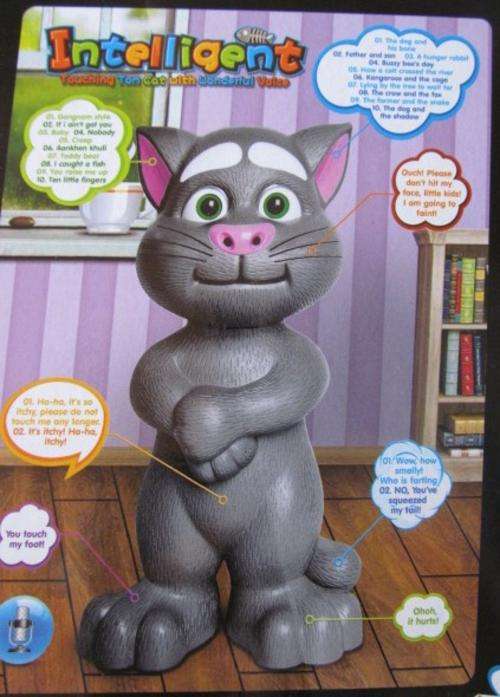 3D Talking Tom Learning Computer,Picture does not do it justice!!!10 stories,10 songs,recording func