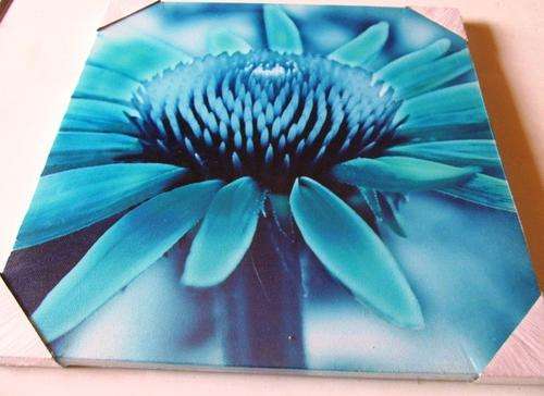 Canvas flower picture - 40cm by 40 cm