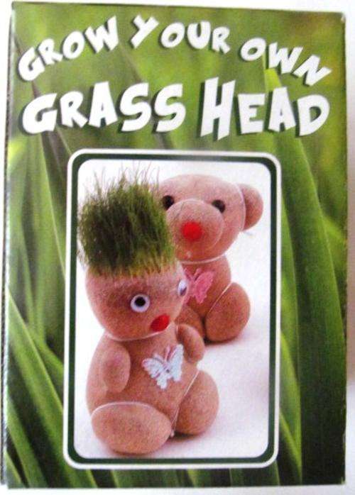 All time favourite GRASSHEAD - Affordable Shipping Rates