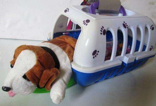 Adorable Puppy in a box, with extras !!!