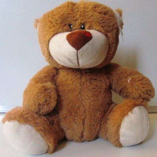 Soft Cuddley Bear