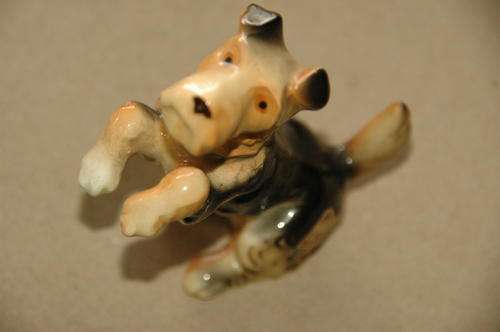 yorkshire dog