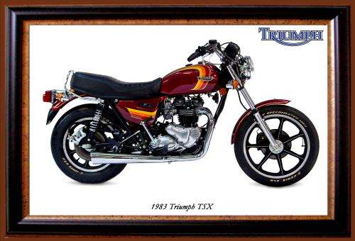 Triumph TSX (83) - Classic Metal Sign