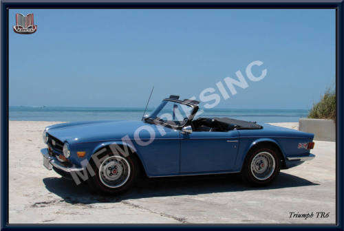 Triumph TR6 - Classic Metal Sign