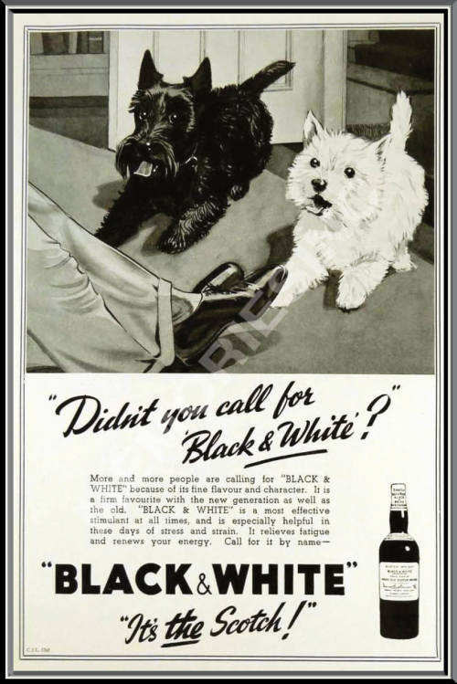 Black & White Whiskey - It's the Scotch - Classic Metal Sign