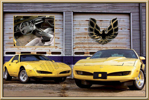 Pontiac Firebird (1992) - Classic Metal Sign