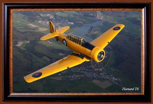 Harvard T6 - Yellow - Metal Sign