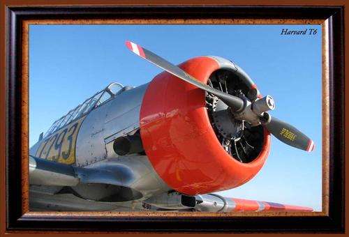 Harvard T6 - Nose close up - Metal Sign