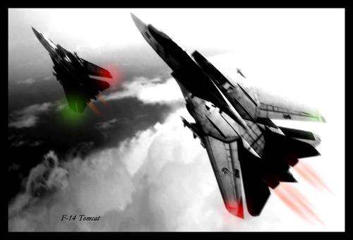 F-14 Tomcat - Metal Sign