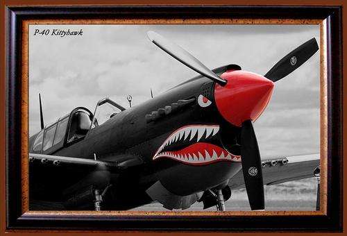 Kittyhawk - Metal Sign