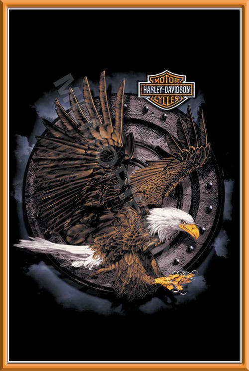 Action Eagle - Metal Sign