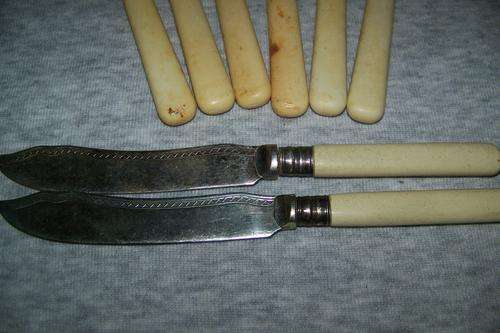 Bone handle (8) fish knives