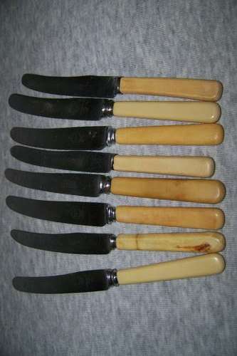 Bone handle (8) butter knives