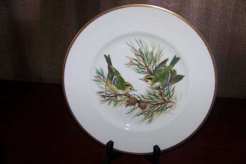 Coalport collectors limited edition British birds plate (Goldcrest)