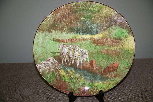Royal Doulton 27cm plate (SA Series)