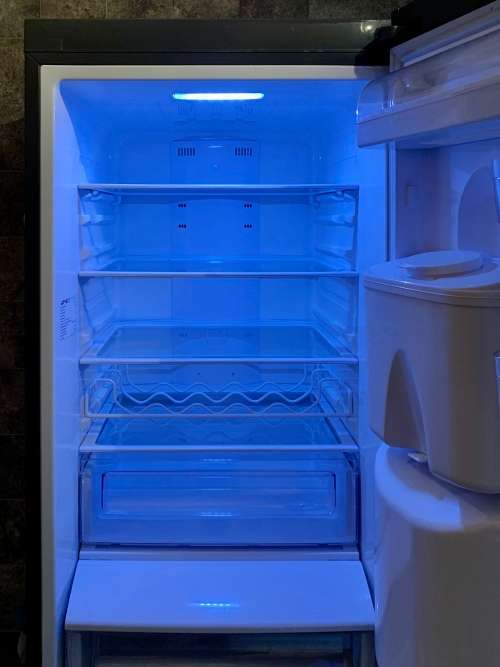 Samsung RL48RWCIH 308L Capacity Bottom Freezer Refrigerator with Taller Water Dispenser