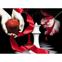 Twilight saga and more